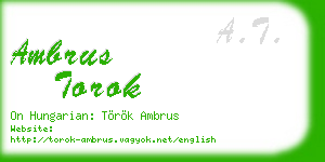 ambrus torok business card